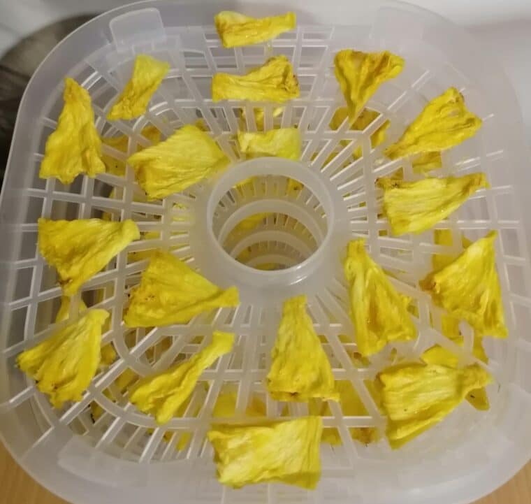 Drying Pineapple Food Drying The Process of Dehydrating Pineapple