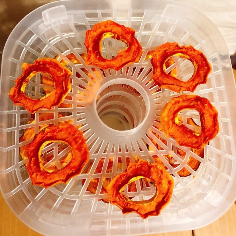 Dried Papaya Food Drying The Process of Dehydrating Papayas